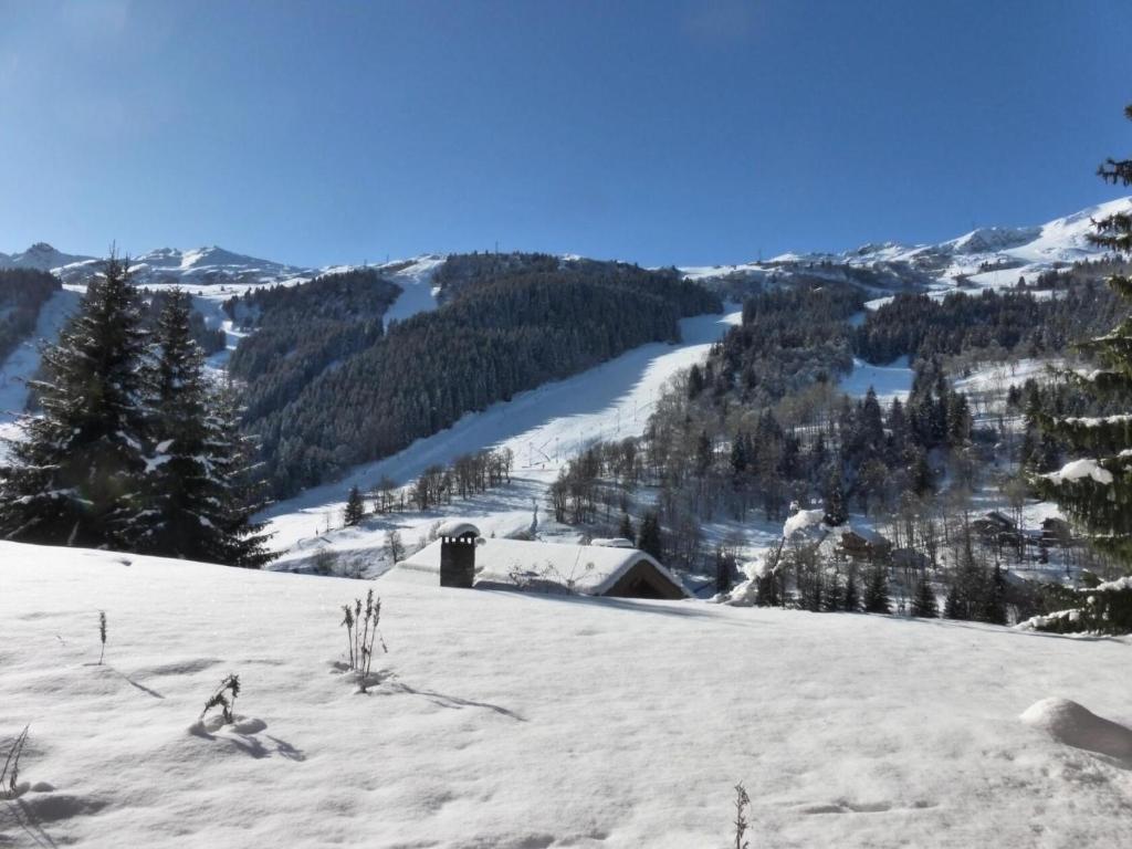 Résidence Le Vallon - Appartement 2 pièces pour 4-5 personnes situé à Méribel centre proche des commerces et des pistes de ski MAE-1766 - 5