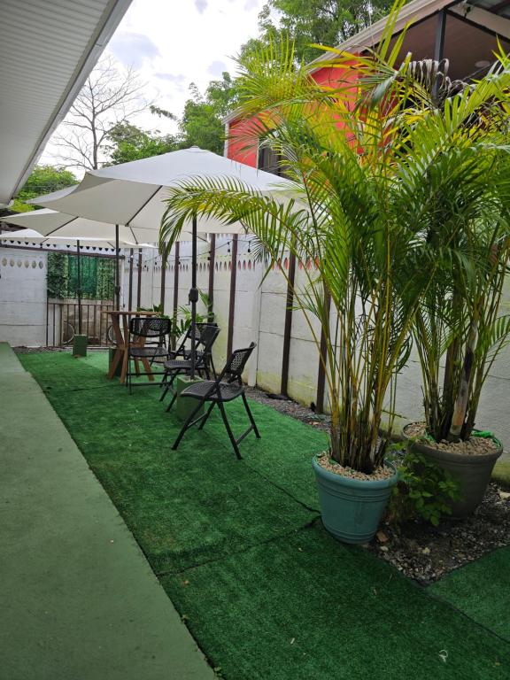 Monkey House, Tortuguero