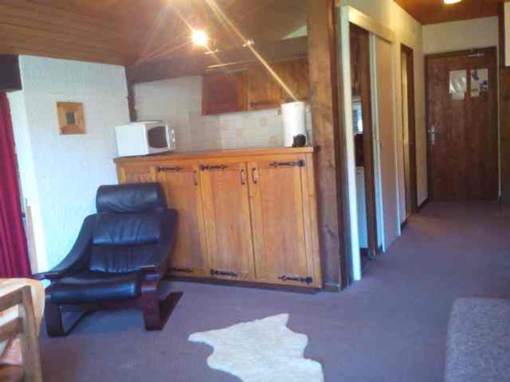 Studio confortable, vue sur le Pleney, parking inclus - FR-1-524-26 - 2