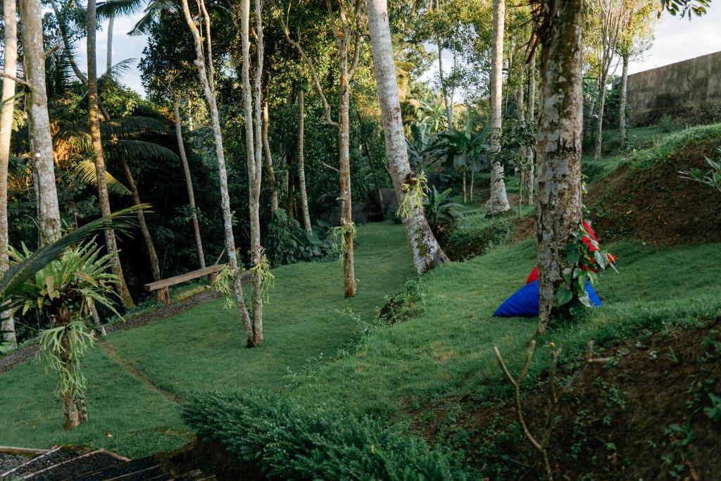 Surrounding environment