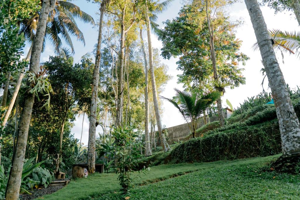 Surrounding environment