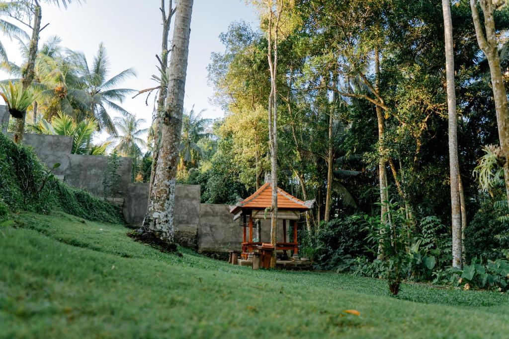 Surrounding environment