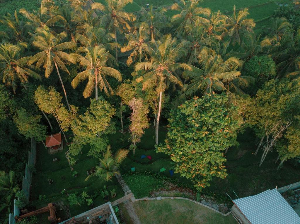 Surrounding environment