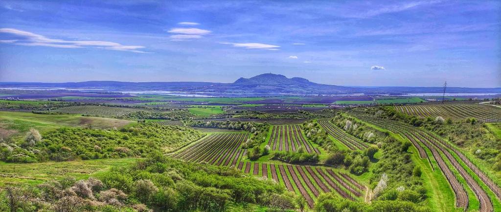 Apartments with air conditioning - Three-star Pension U Kudláčků, Strachotínská 348, 691 26 Pouzdřany, South Moravia, Czech Republic