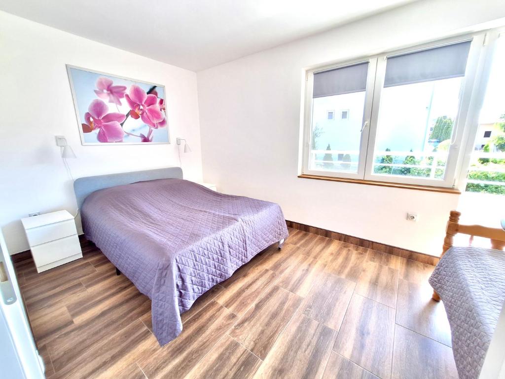Apartman Zak Sokobanja - 5