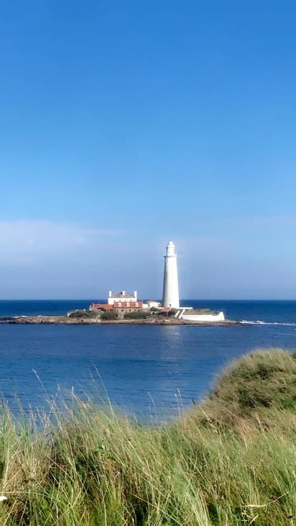 Arthurs Pad, Whitley Bay photo 4