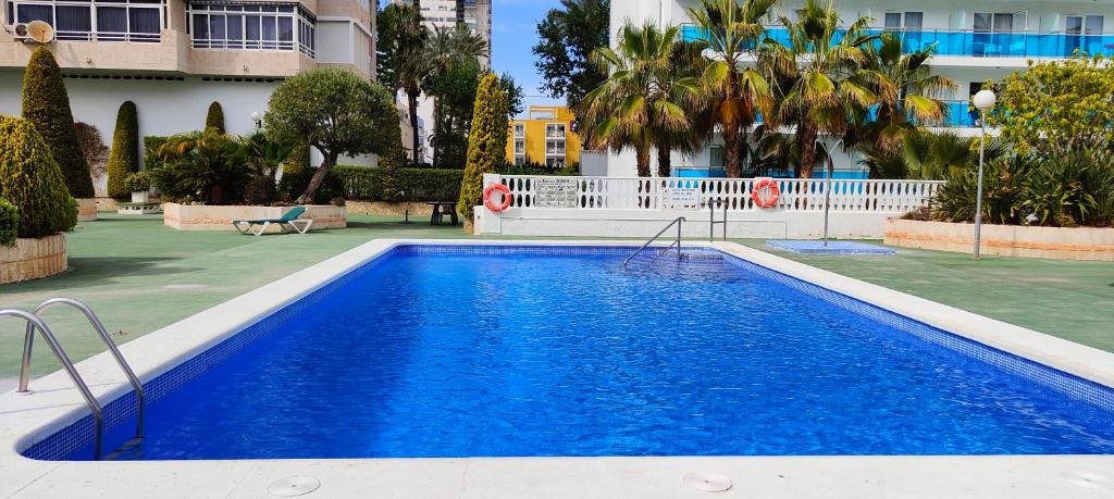 Solo familias Torre Domo Benidorm - 2