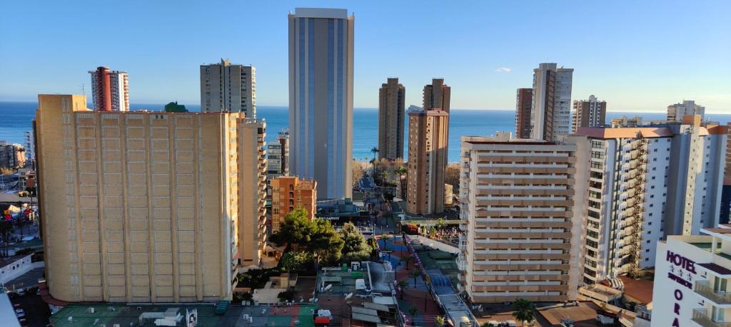 Solo familias Torre Domo Benidorm - 5