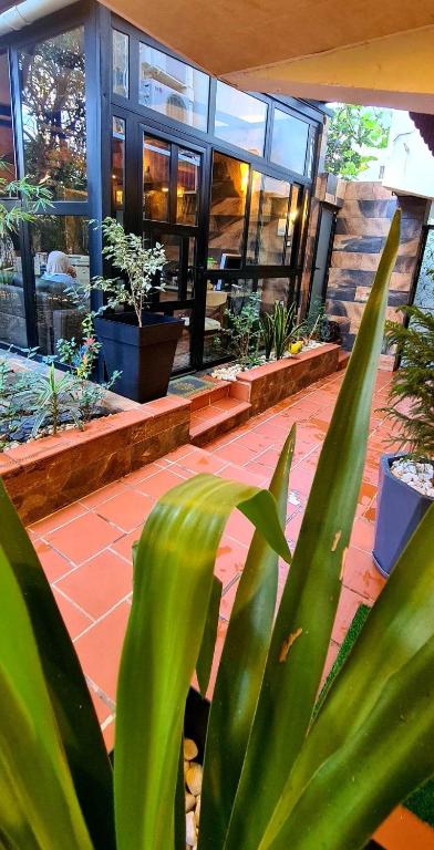 Garden résidence, Alžíř