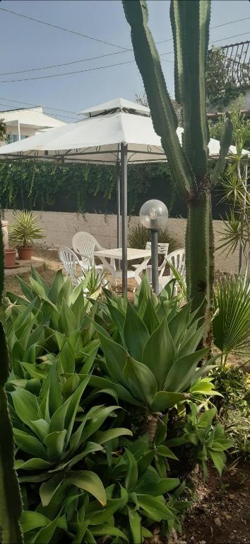 Villa Salvina Beach - 5