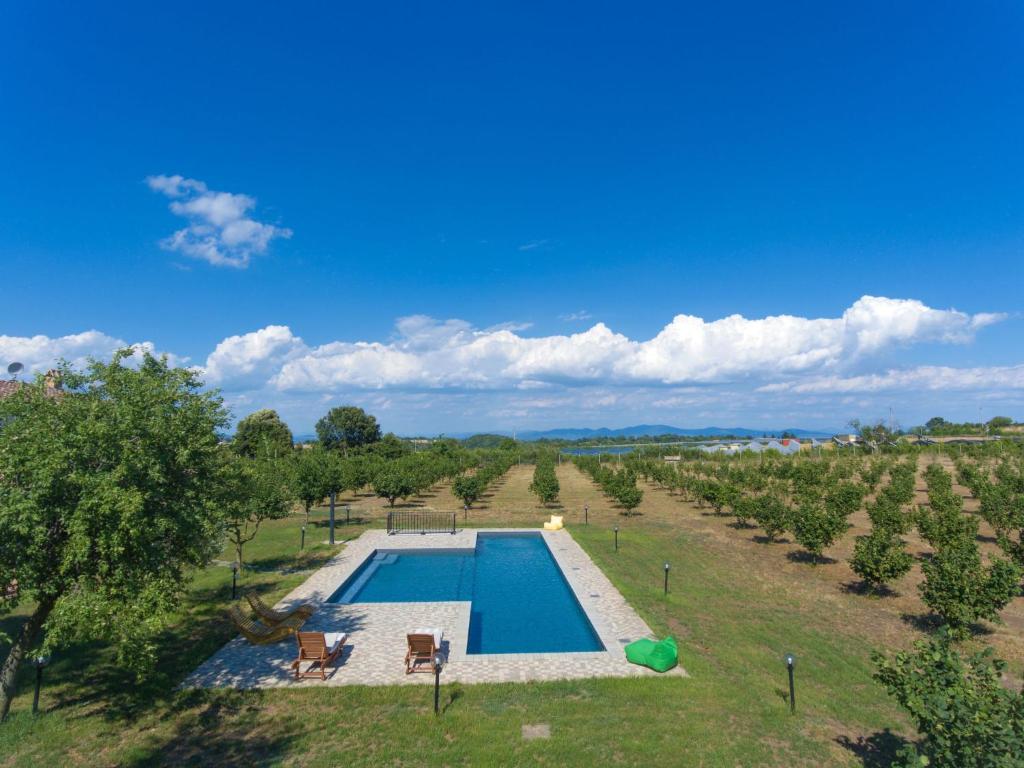 Holiday Home Pescatori by Interhome - 5