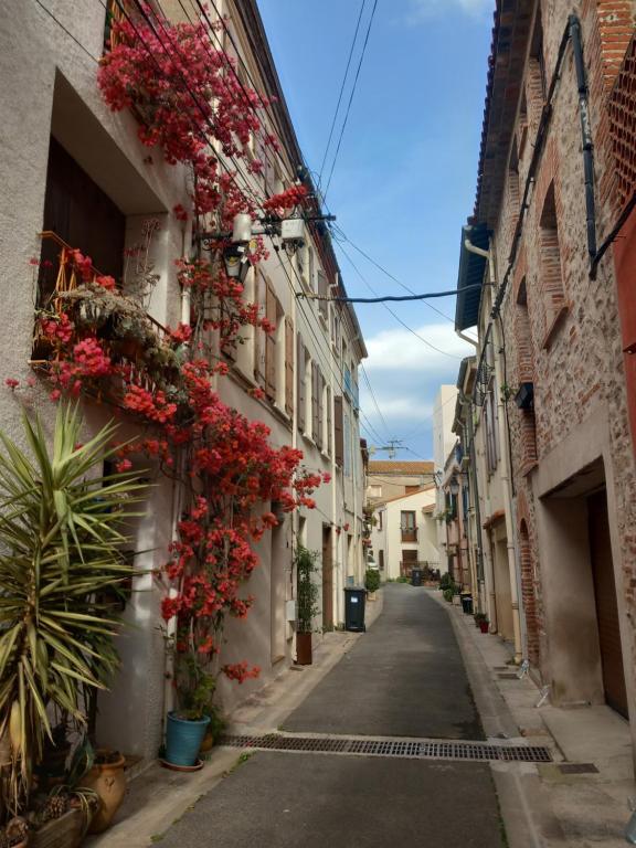 Maison de L'Esprit Catalan Argeles-sur-Mer 전경