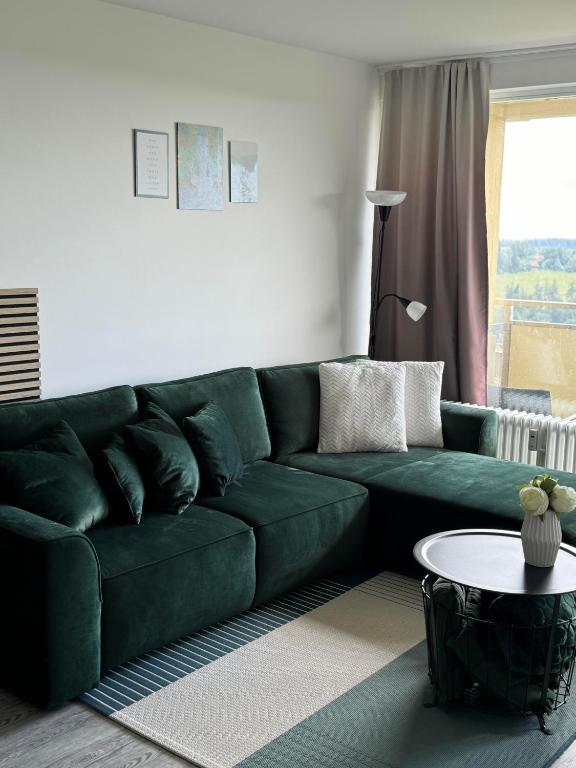 NEU Superior Apartment 525, im Oberharz, mit Schwimmbad und Sauna, Braunlage