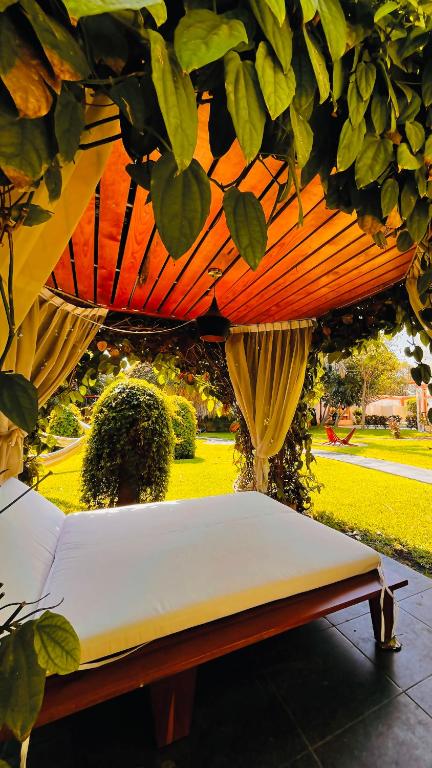 Garden, Hotel Palacio Maya in Merida