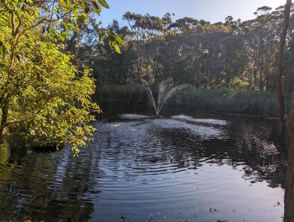 Surrounding environment