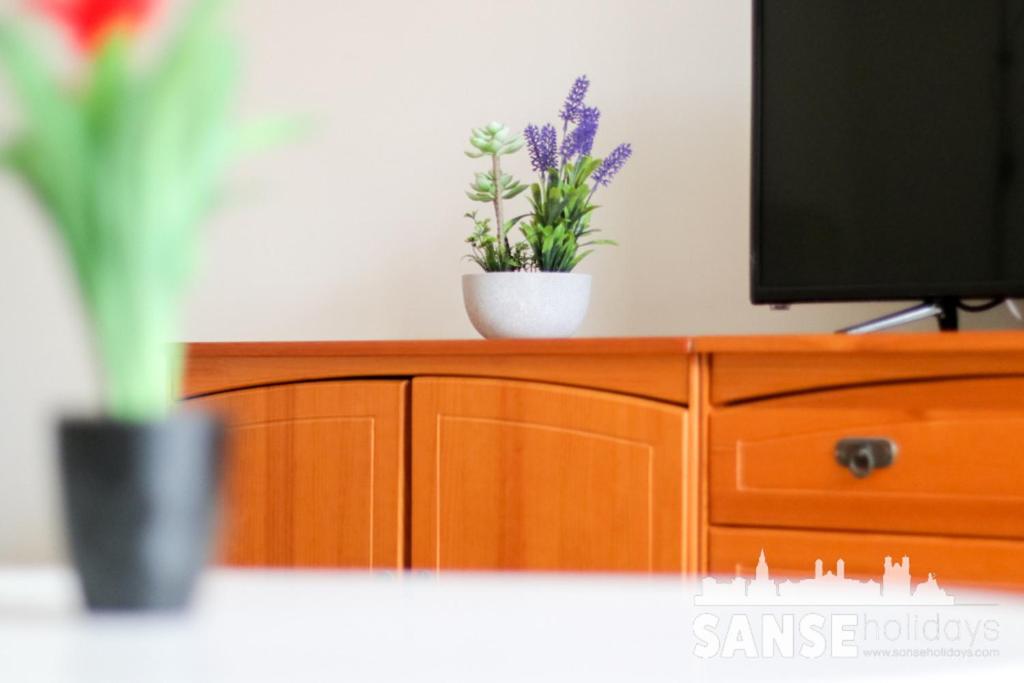 Apartamento Colón by SanSe Holidays - 2
