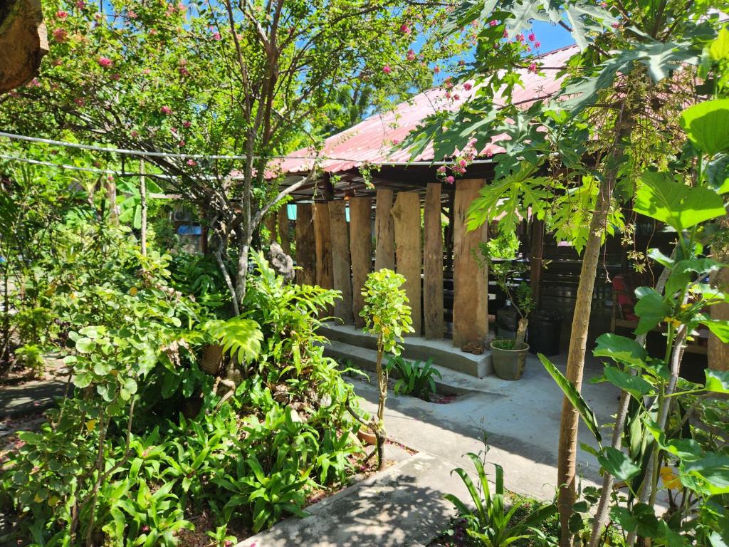 Gecko Guesthouse, Pantai Cenang