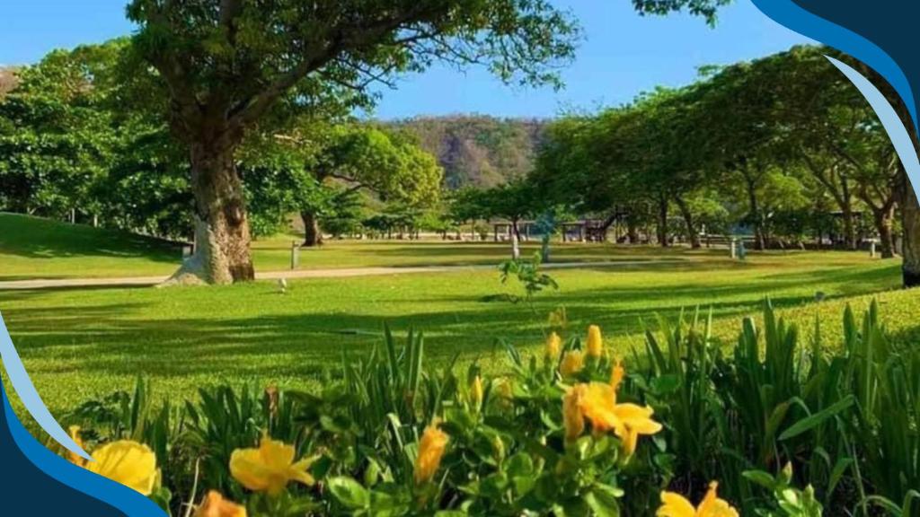 ทัศนียภาพ