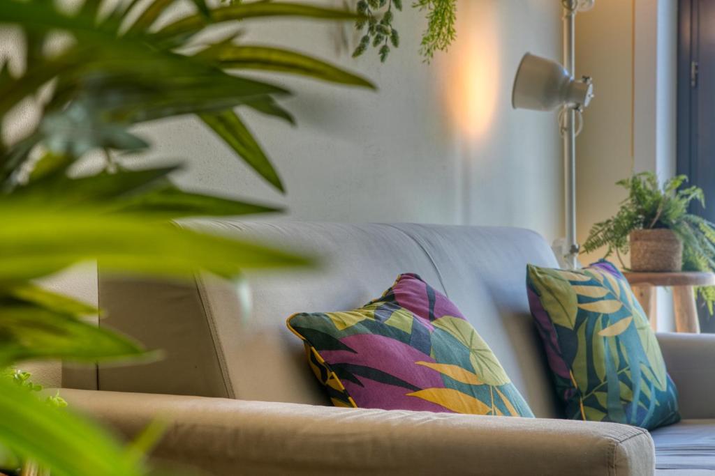 Appartamento Urban Jungle - 5