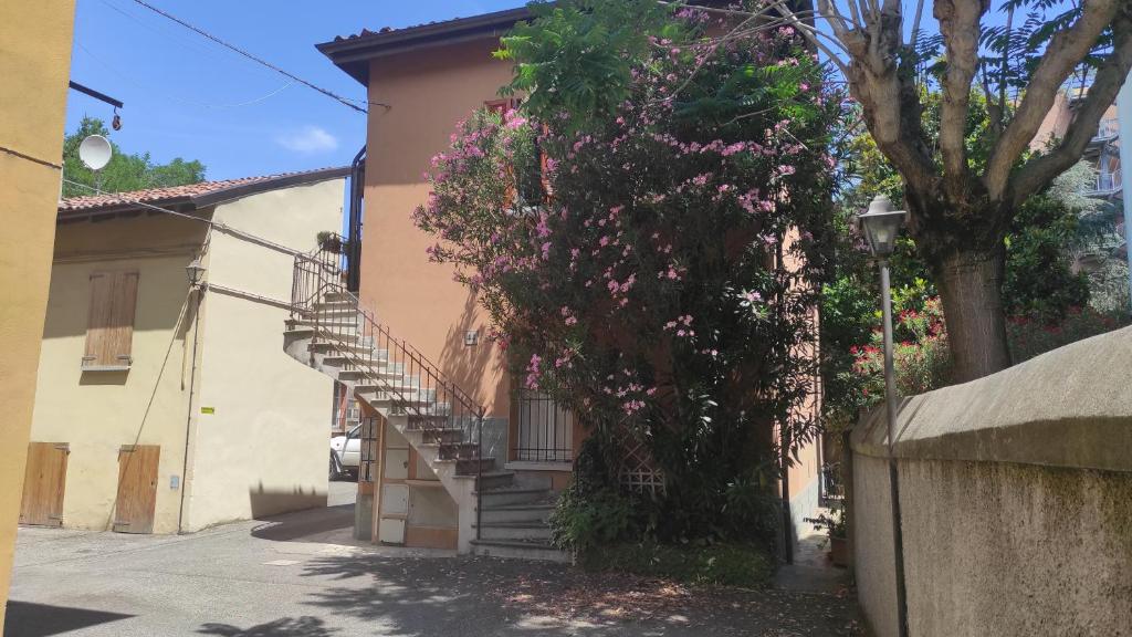 BORGHETTO 36 - 2