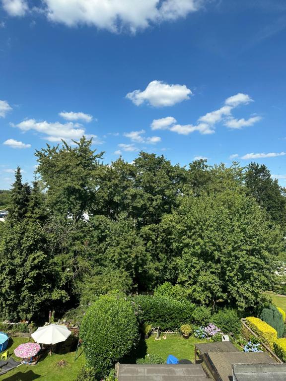 Bochumer Dachnest, Bochum