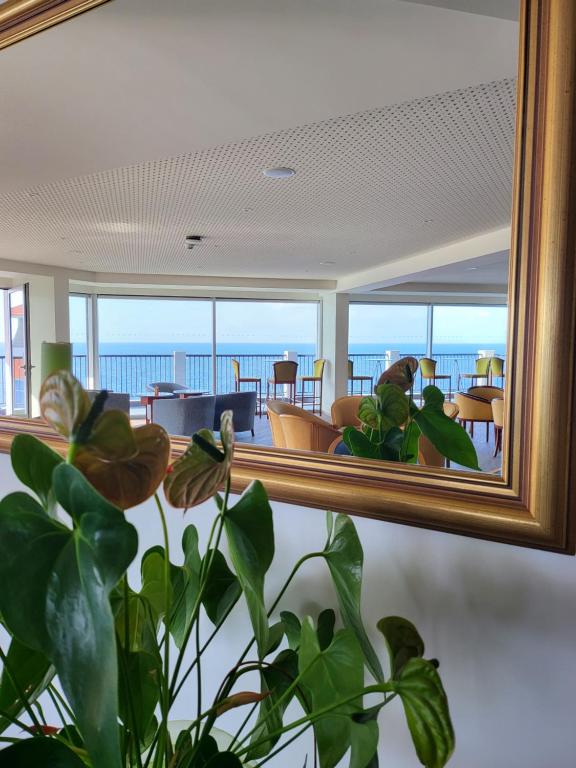 Hotel Royal Orchid — Hotel rooms in Caniço, Madeira