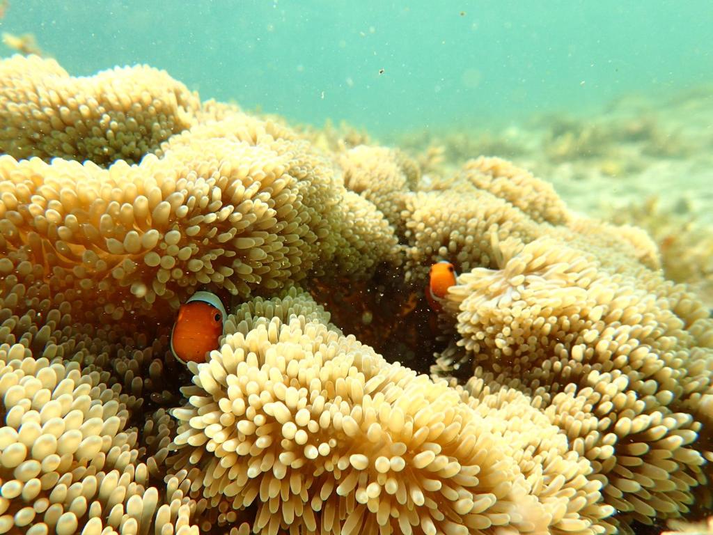 Sports and activities