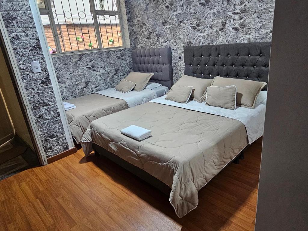 Colisseum Roma - Vive Claro -El cubo movistar campin - 2