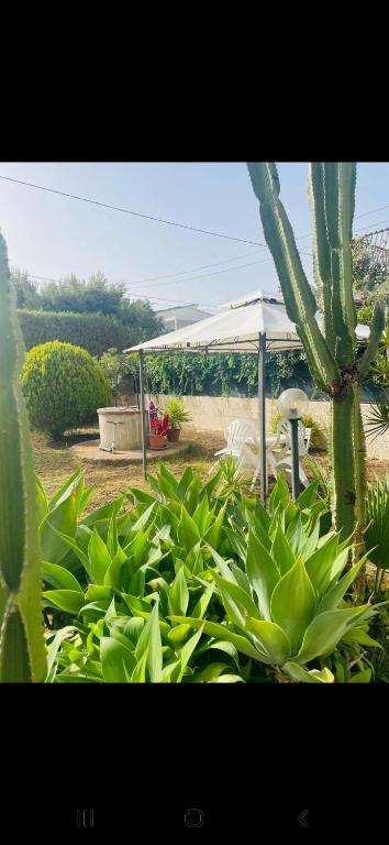 Villa Salvina Beach - 3