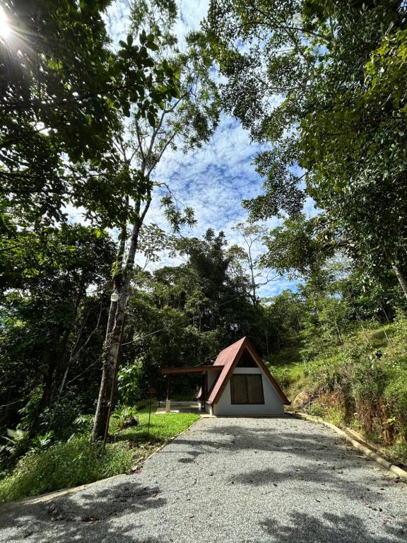 Chalet Brisas, Alfombra