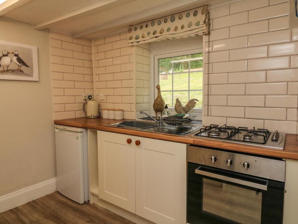 Pheasant Cottage, Combe Martin photo 5