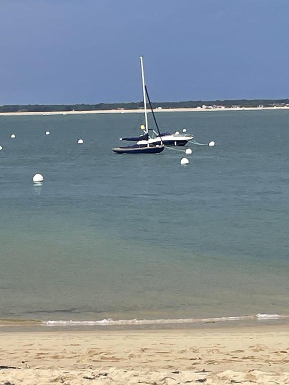 STUDIO-COTTAGE AVEC JARDIN-BASSIN D'ARCACHON - 3