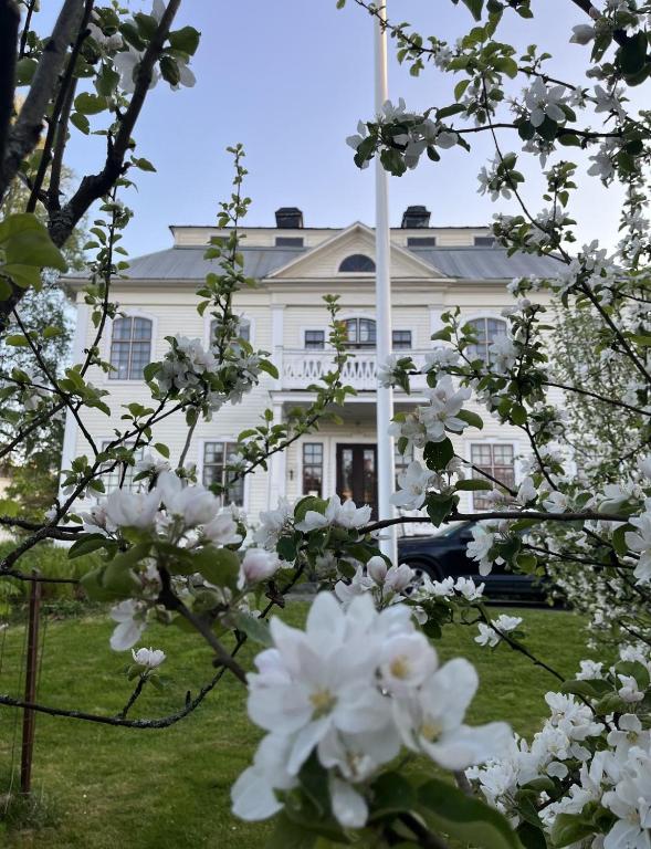 Lägenhet i sekelskifteshus, Härnösand