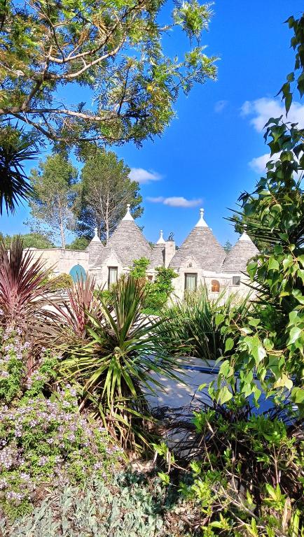 Trullo Bosco Libero Ostuni - 4