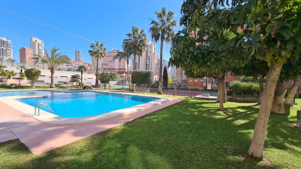 Apartamento Gemelos XII 21 IF Benidorm - 3