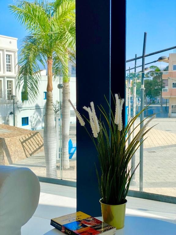 Canarian Sun Apartment 2 - 1