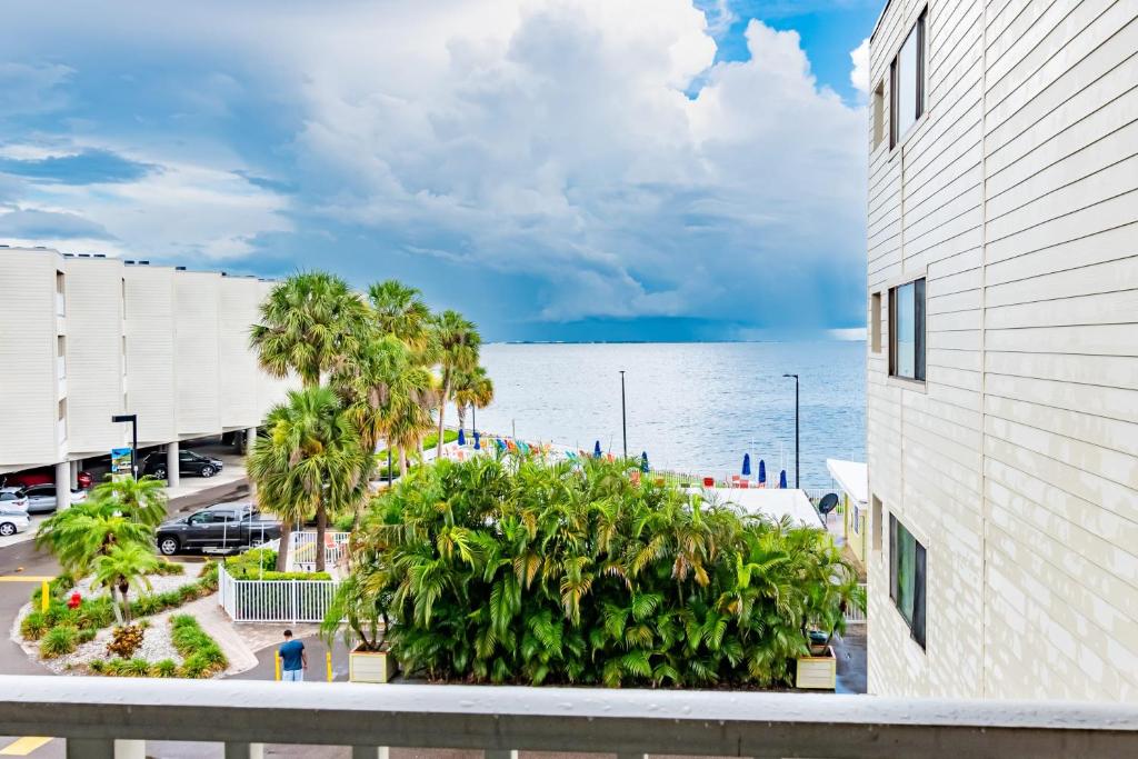 Pirates Perch, Tampa