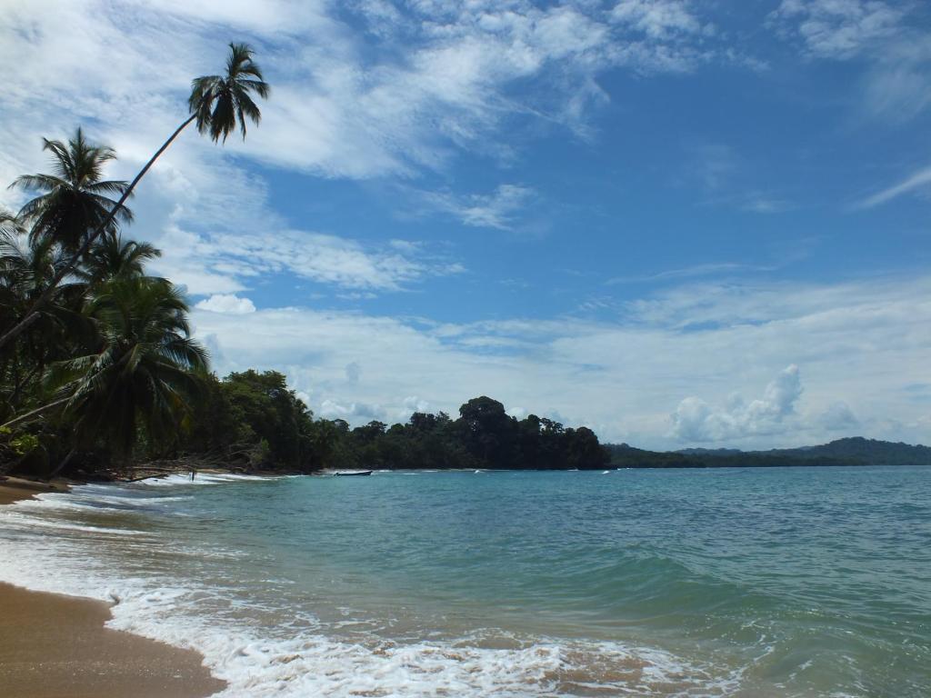 Cabinas Caribe Luna photo