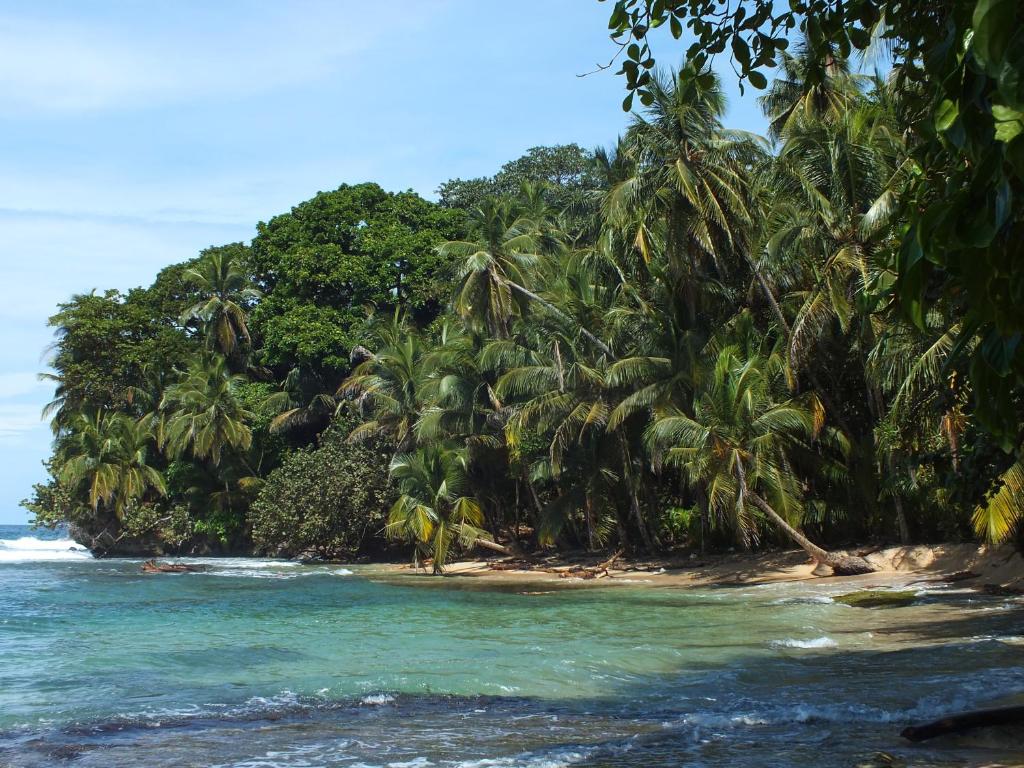 Cabinas Caribe Luna photo
