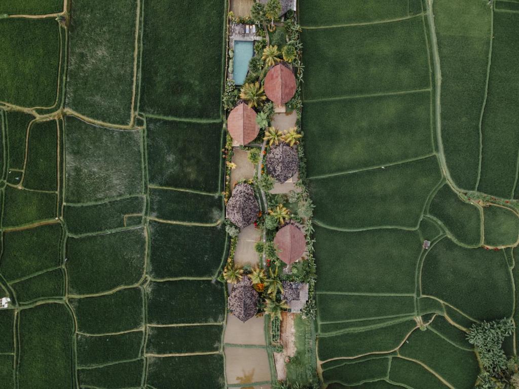 Surrounding environment