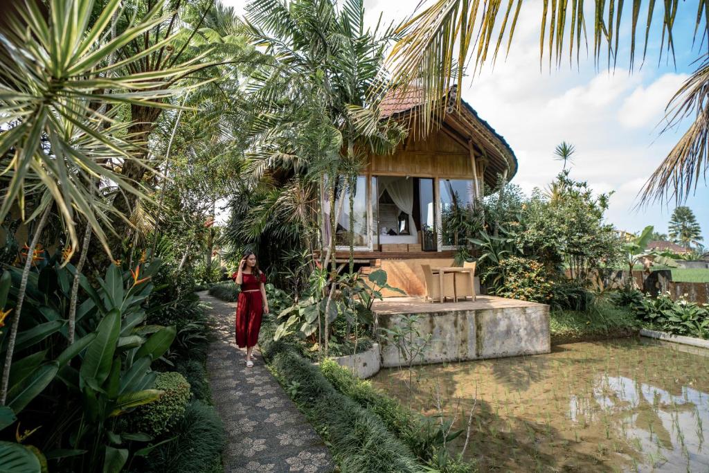 Surrounding environment