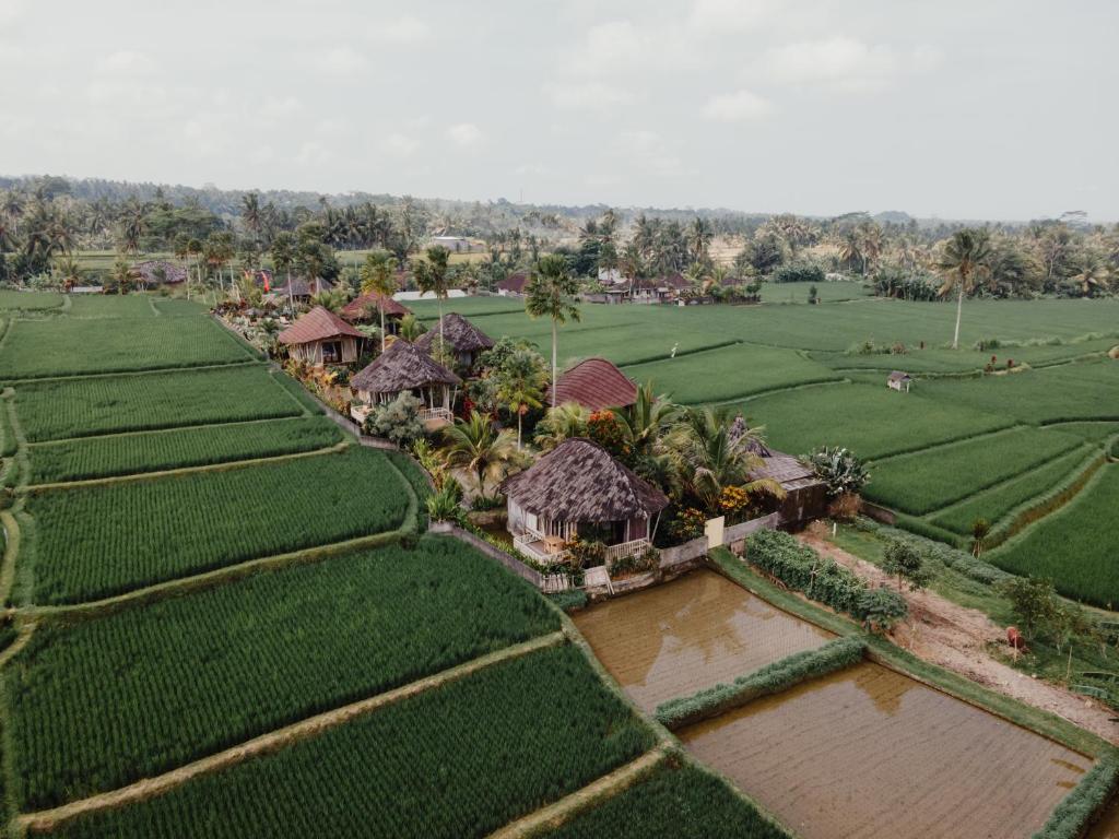 Surrounding environment