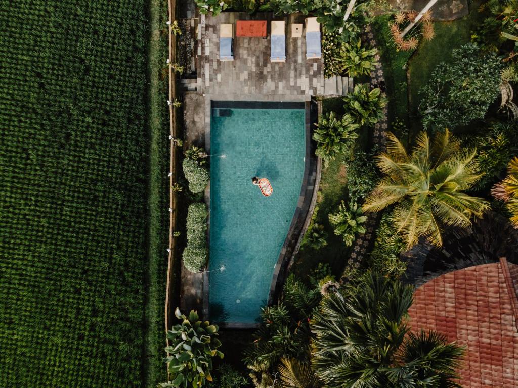 Surrounding environment