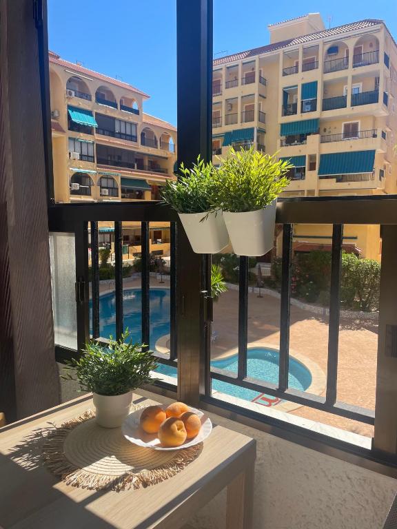 Apartament Studio, La Mata , Torrevieja, Viñamar 3 - 1