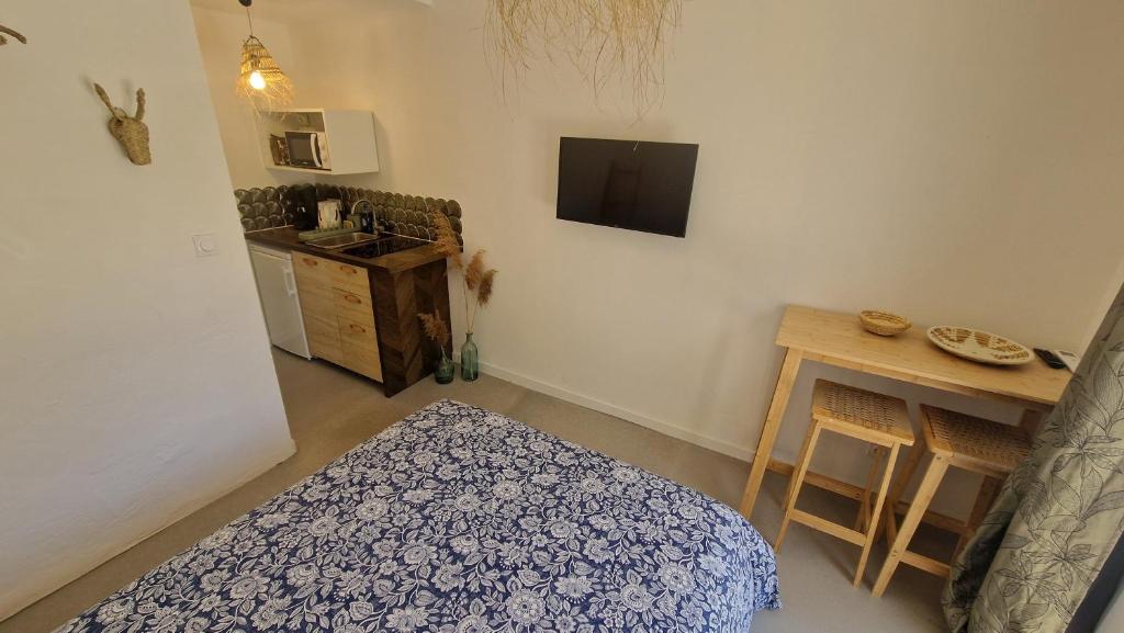 Chambre indépendante avec sdb, cuisine et terrasse - 5