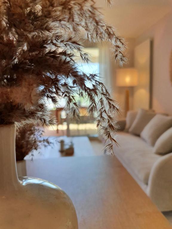 Appartement T2 à 3min de la plage, Palavas-les-Flots