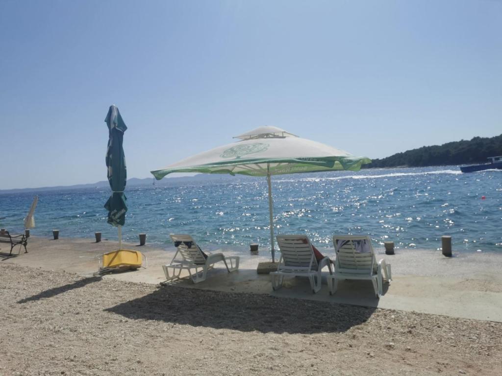 Apartman Zita, Ždrelac