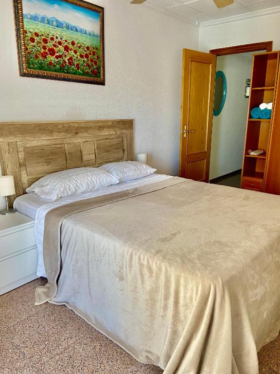 Apartments in the Heart of Santa Pola - 3