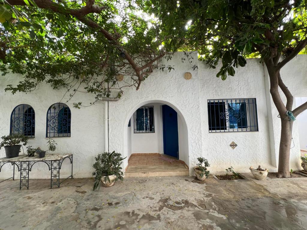 Signature, Hammamet Sud