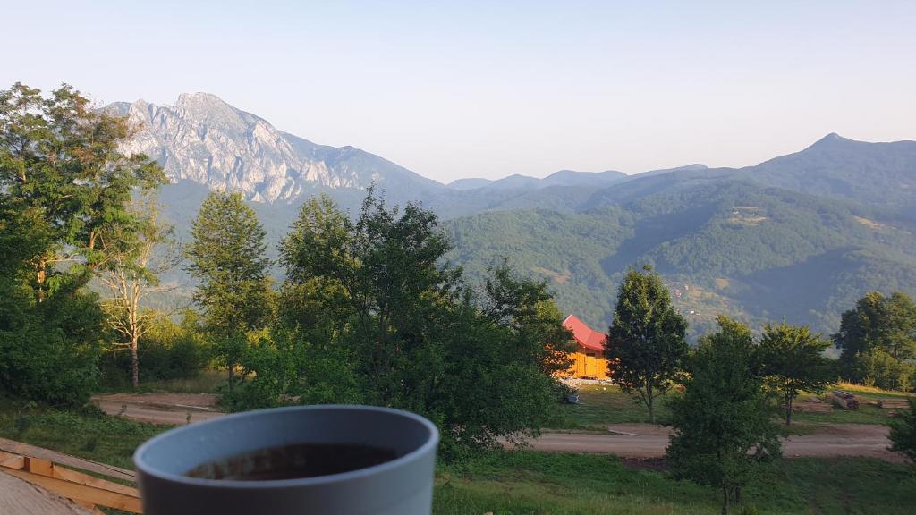Mountain View, Foča